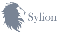 Partner Logo 1